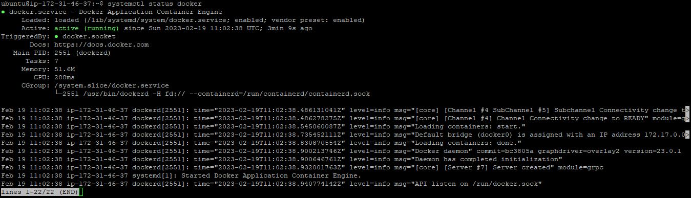 Docker service status verification