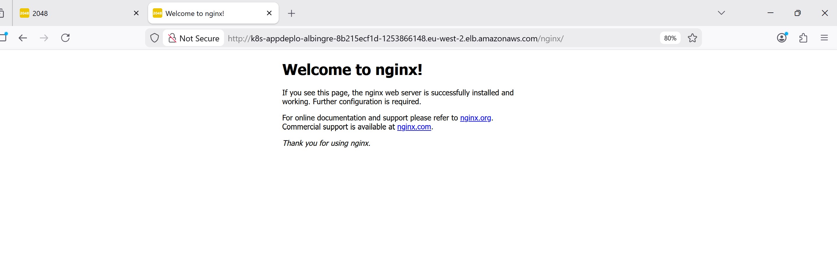 NGINX Web Application
